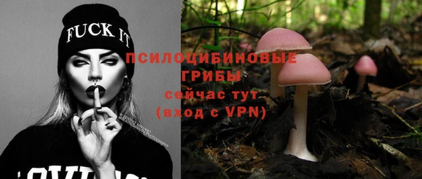 твердый Белокуриха
