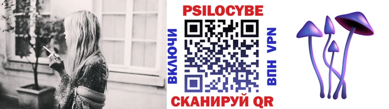 Псилоцибиновые грибы Magic Shrooms  darknet какой сайт  Бородино 