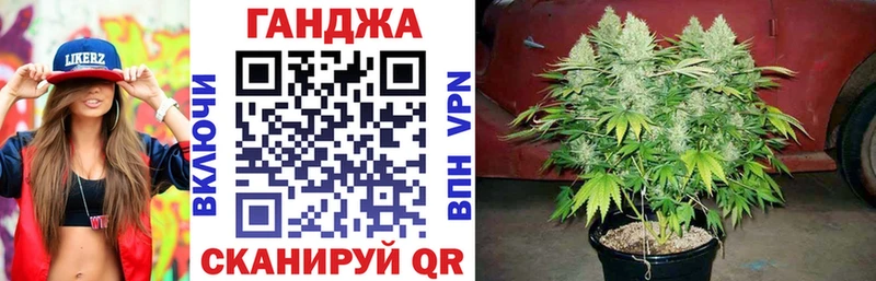 наркота darknet официальный сайт Конопля Bruce Banner Бородино